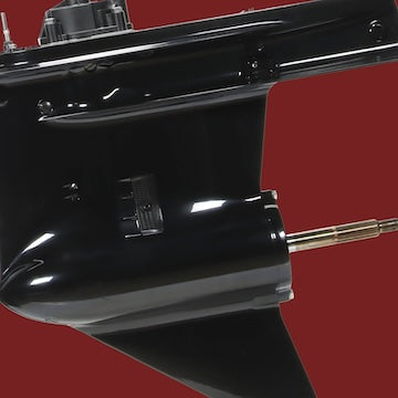 Suzuki®-nut kanaartat